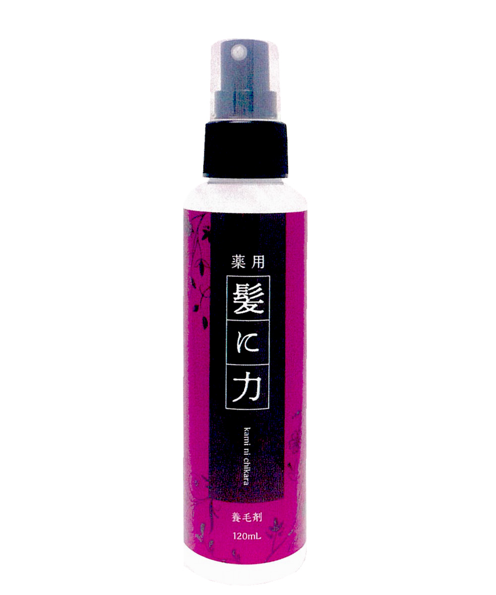 髪に力 120ml／薬用育毛剤