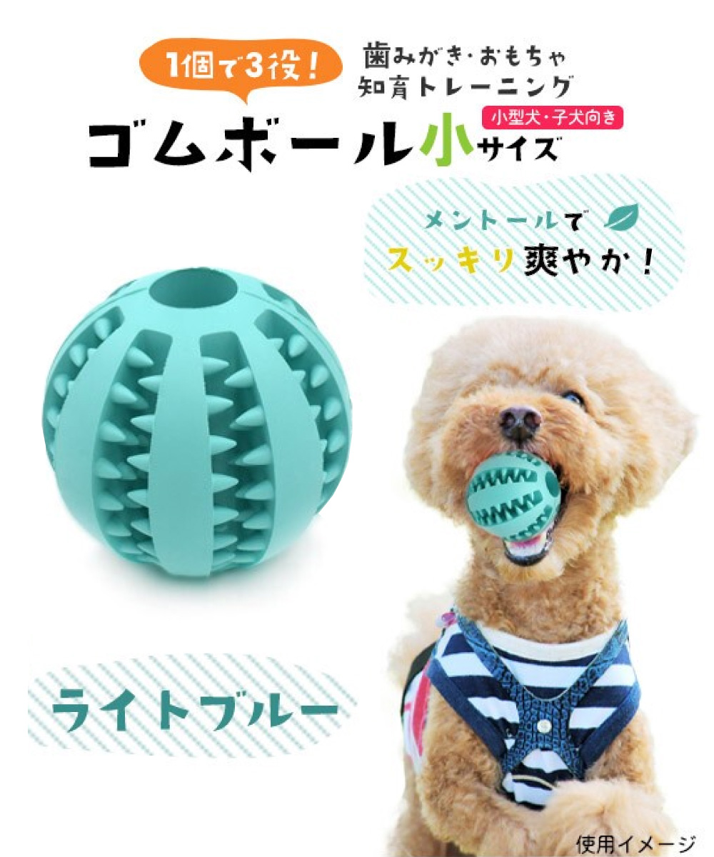 1個で3役♪おもちゃ 歯みがき 知育トレーニング 小型犬・子犬向き 歯磨きボール 小サイズ ライトブルー